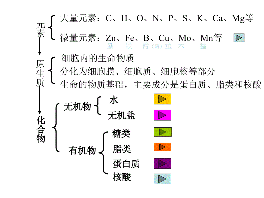 生物界与非生物界有统一性和差异性组成生物体的化学元素的重要作用_第3页