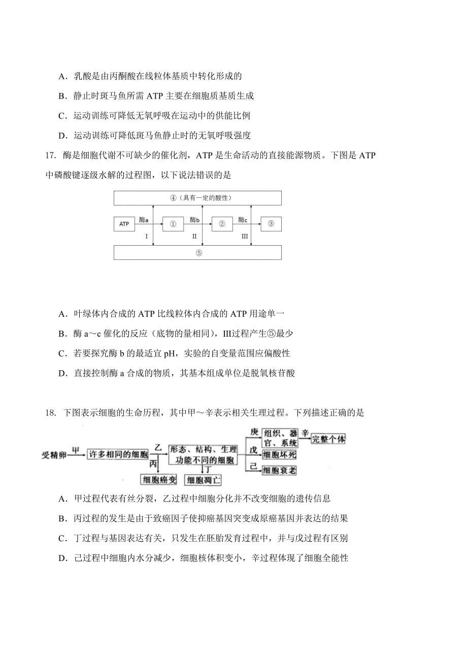 北京市朝阳区2017届高三上学期期末统一考试生物试题含答案_第5页