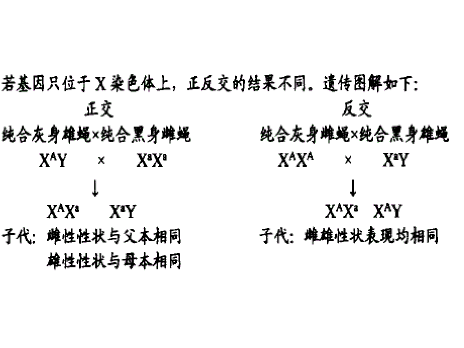 判断基因位置的方法_第3页