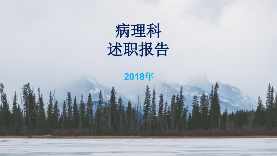 2018病理科述职资料_第1页