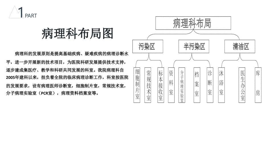 2018病理科述职资料_第5页