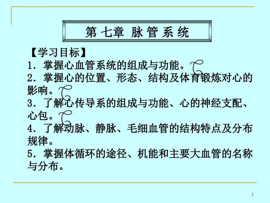 第七章脉管系统.ppt_第1页