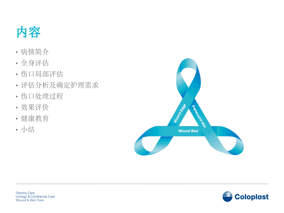 病例收集模版-伤口评估三角.ppt_第2页