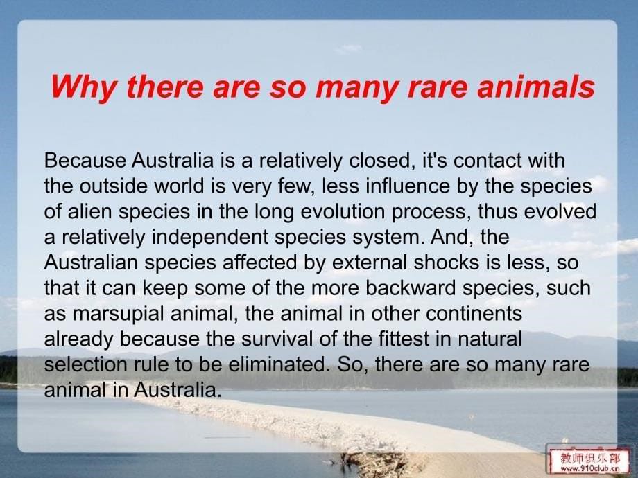 澳大利亚动物介绍-australia-animals(英文).ppt_第5页