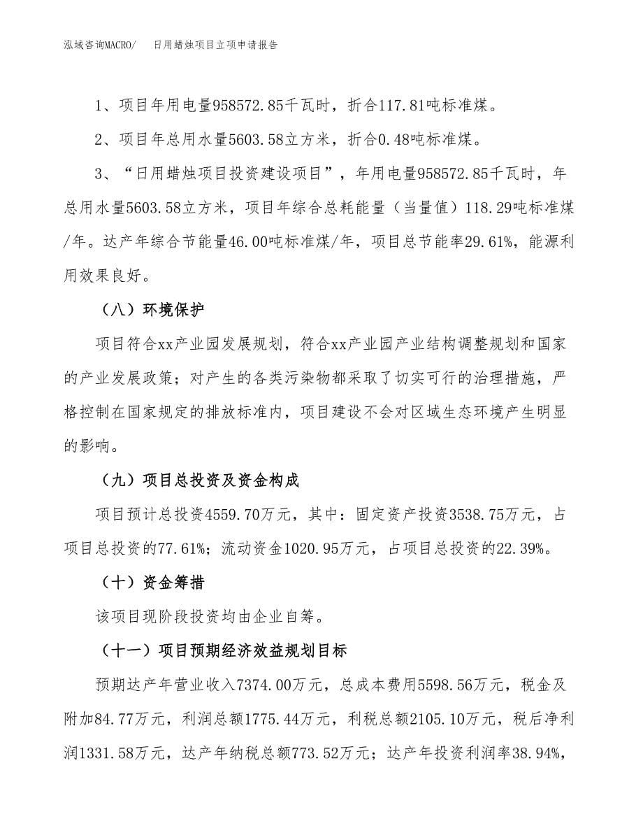 日用蜡烛项目立项申请报告（总投资5000万元）.docx_第5页