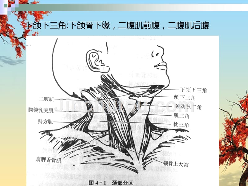 下颌下间隙感染_第2页