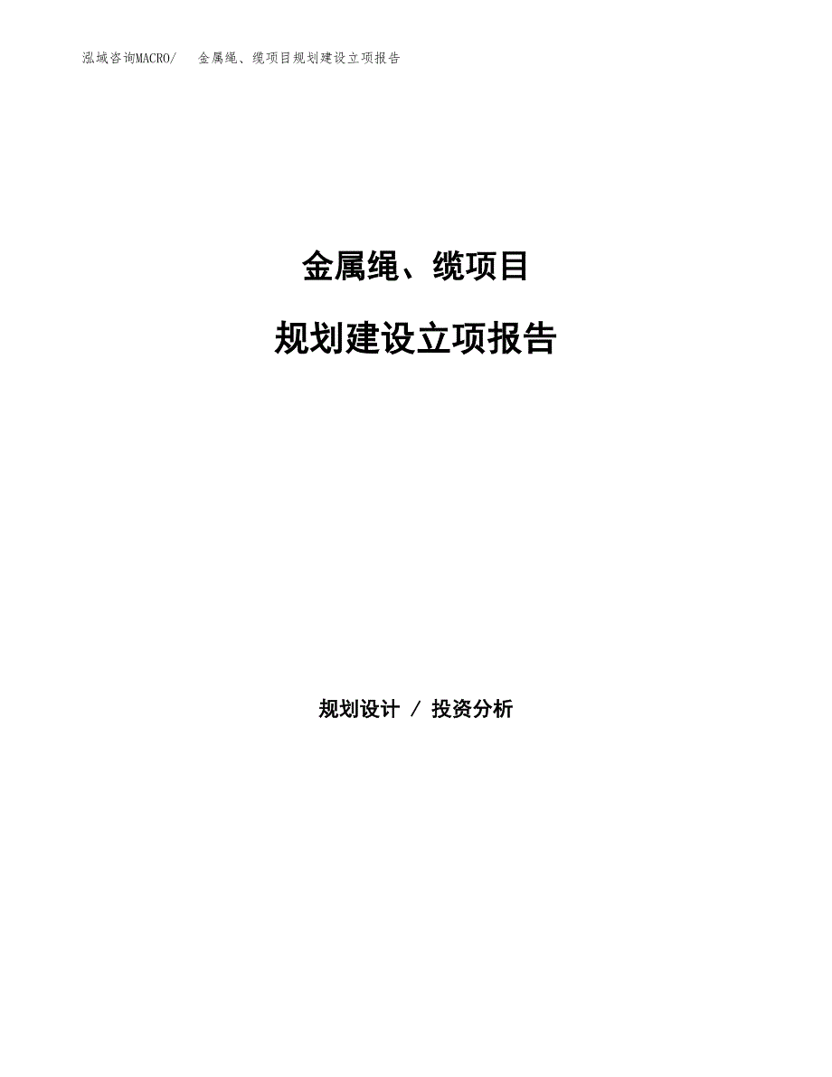 金属绳、缆项目规划建设立项报告_第1页