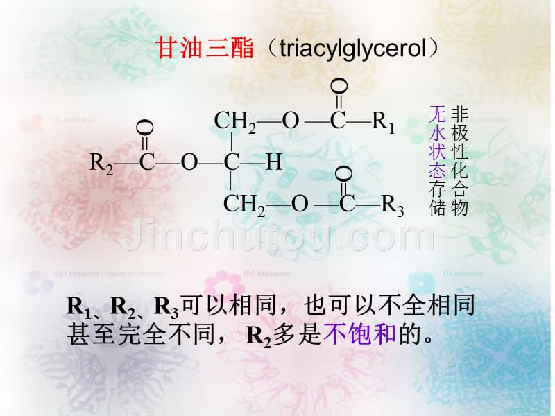 第25章-脂类的分解_第3页