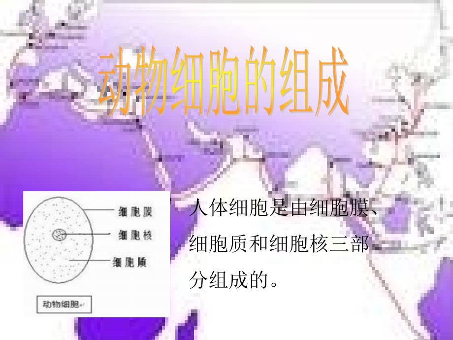 消毒牙签-09%生理盐水、碘液、01一05%高锰酸钾溶_第4页