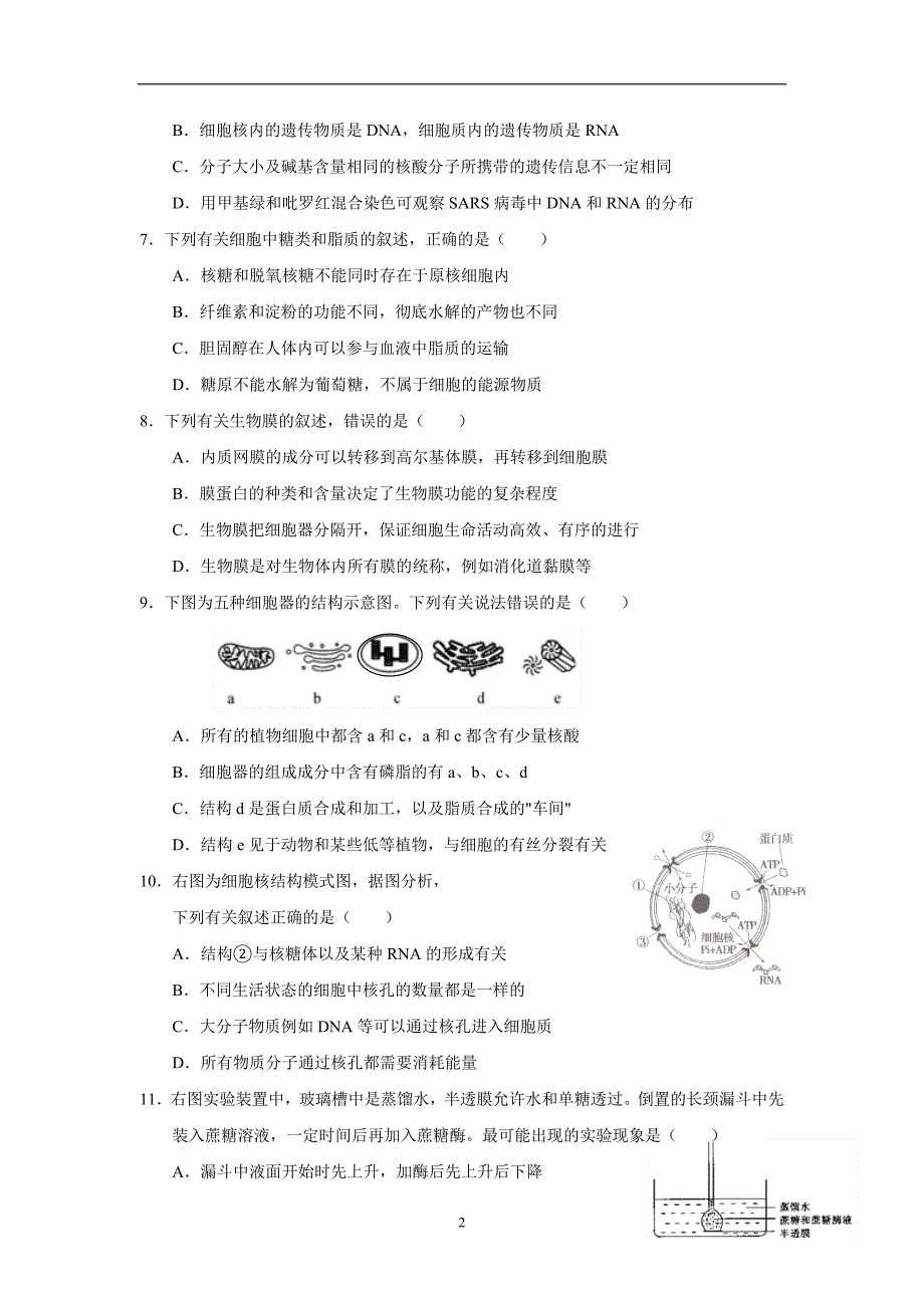 广西17—18学年上学期高一期末考试生物试题（附答案）.doc_第2页