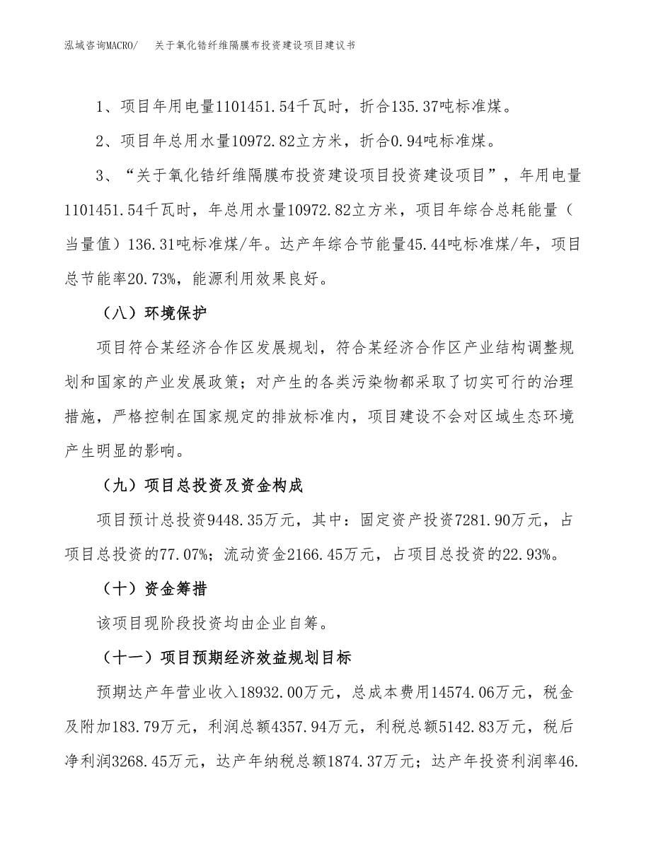 关于氧化锆纤维隔膜布投资建设项目建议书范文（总投资9000万元）.docx_第5页