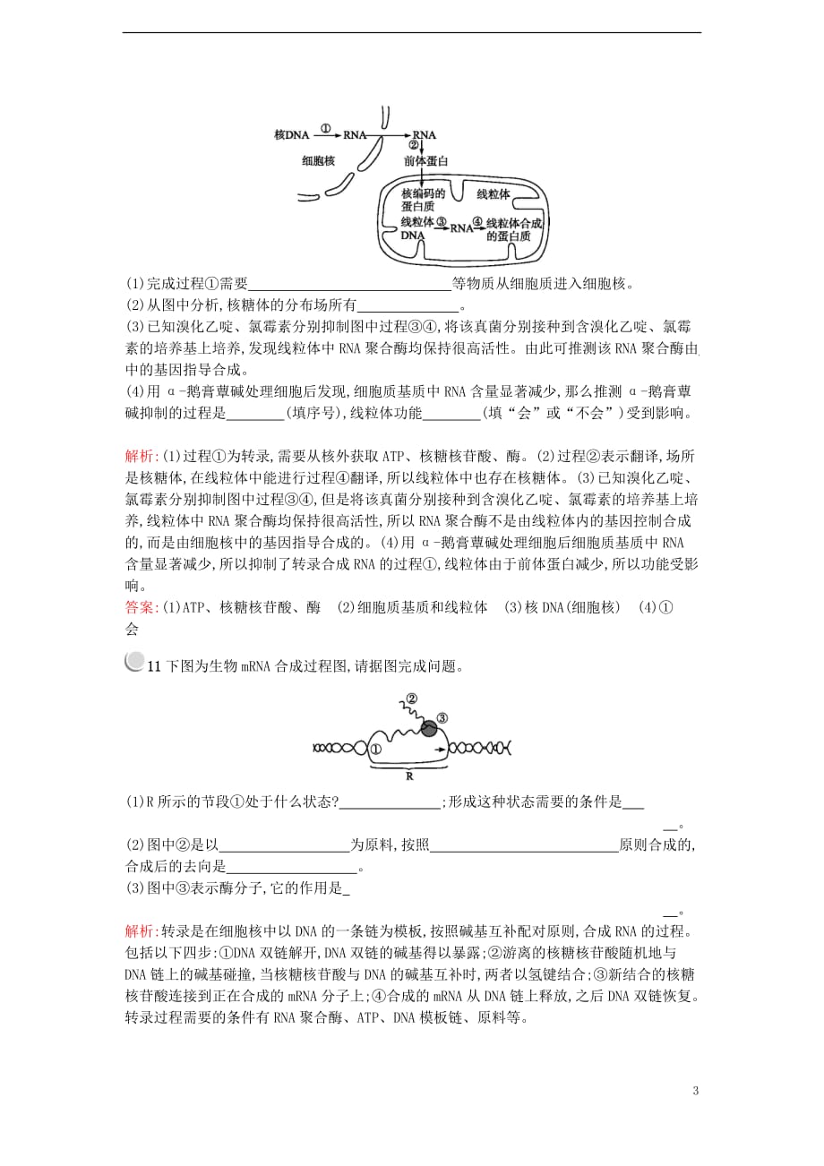 2017-2018学年高中生物 第4章 基因的表达 4.1 基因指导蛋白质的合成练习 新人教版必修2_第3页