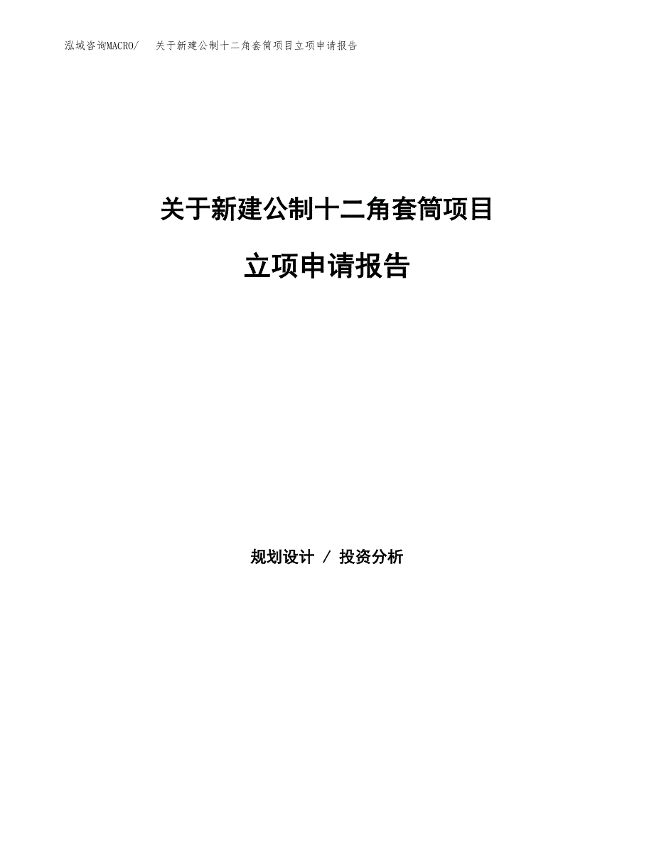 关于新建公制十二角套筒项目立项申请报告模板.docx_第1页