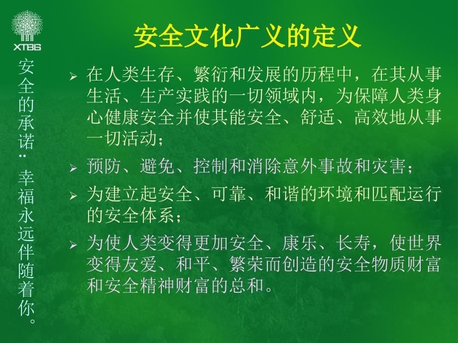 《安全文化与安全》PPT课件_第5页