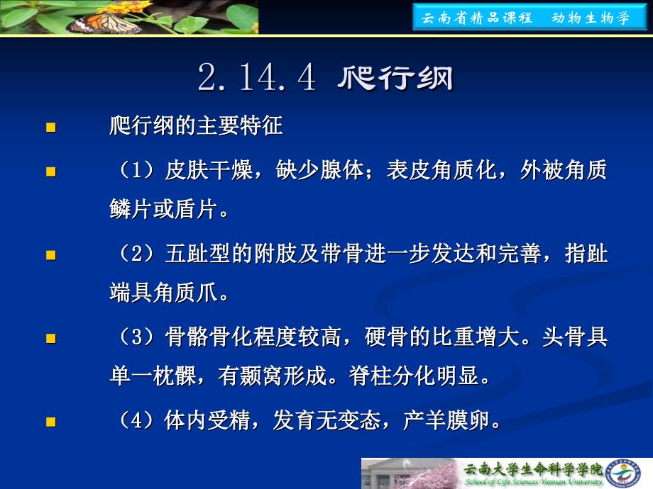 2144-爬行纲---云南大学动物生物学精品课程_第3页