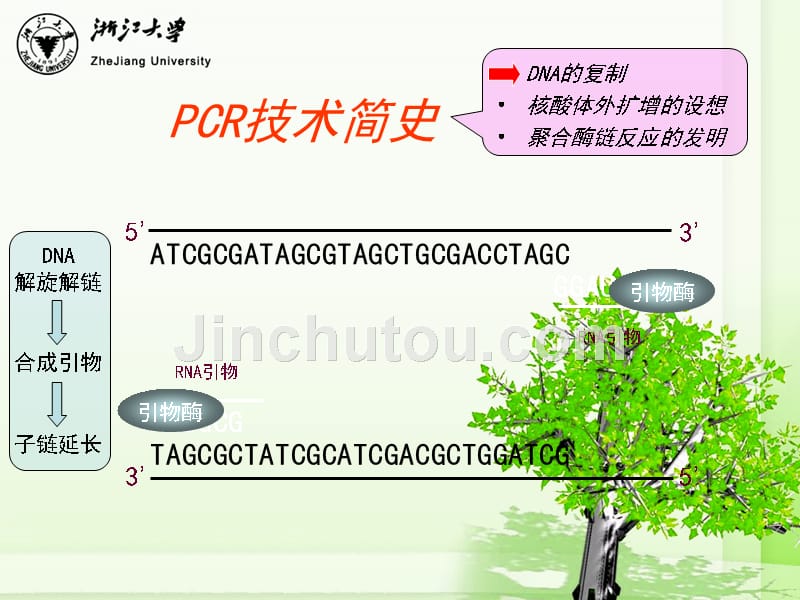 PCR技术的原理及应用资料_第3页