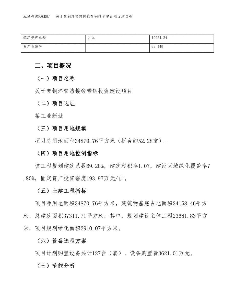 关于带钢焊管热镀锻带钢投资建设项目建议书范文（总投资13000万元）.docx_第5页