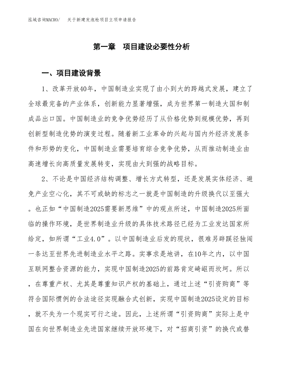 关于新建发泡枪项目立项申请报告模板.docx_第2页