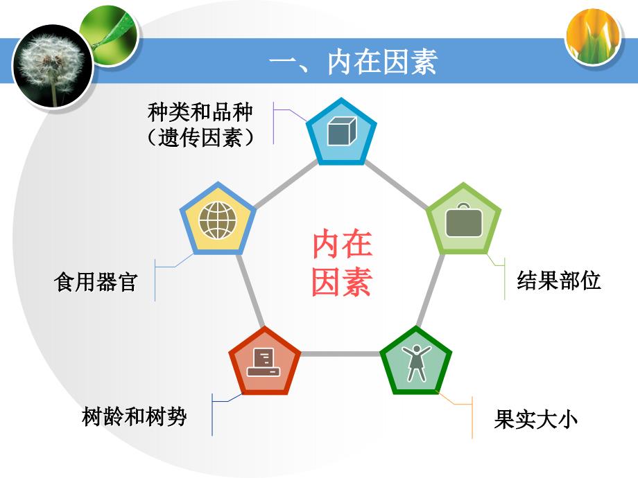 第三节影响果蔬贮藏质量的因素上_第4页