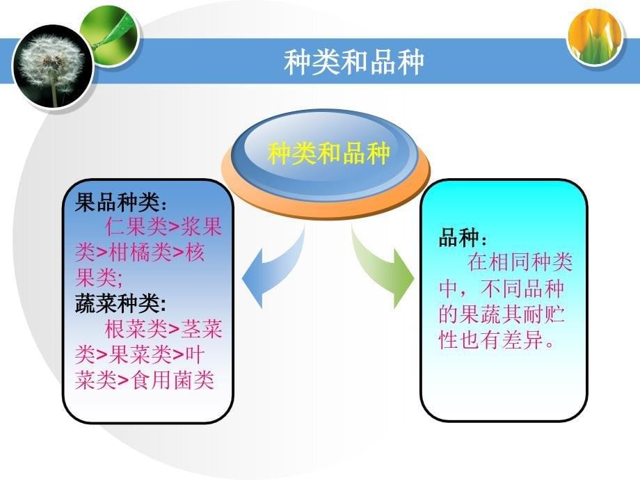 第三节影响果蔬贮藏质量的因素上_第5页