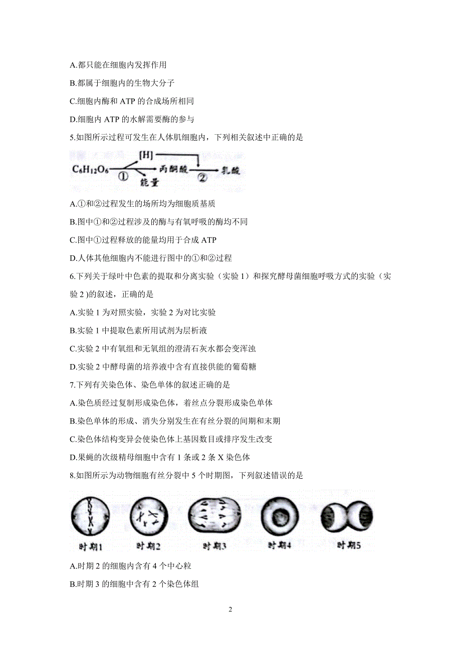 安徽省巢湖一中、合肥八中、淮南二中等高中十校联盟2018届高三摸底考试生物试.doc_第2页