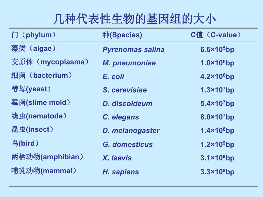 基因组的结构_第3页