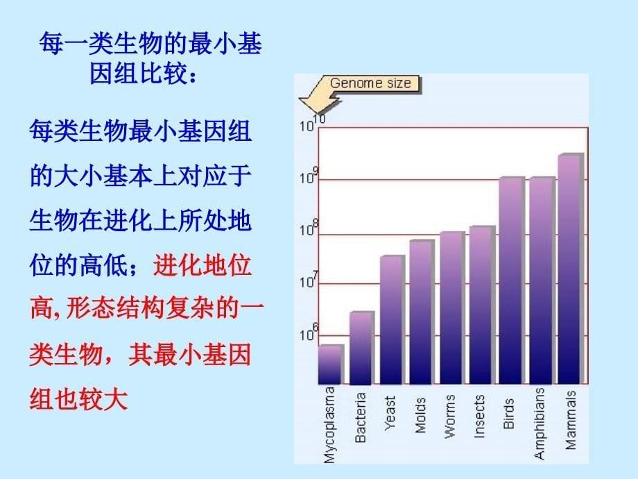 基因组的结构_第5页