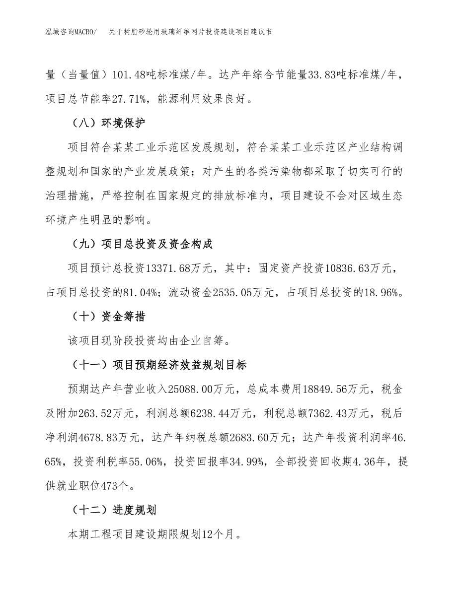 关于树脂砂轮用玻璃纤维网片投资建设项目建议书范文（总投资13000万元）.docx_第5页