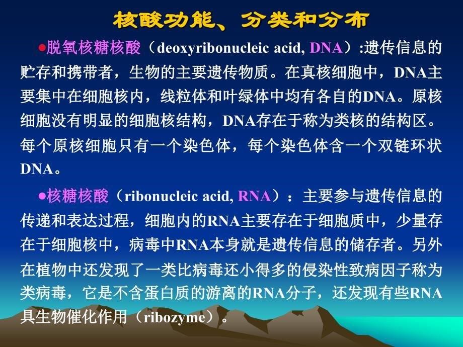 生物化学简明教程--第三章核酸_第5页