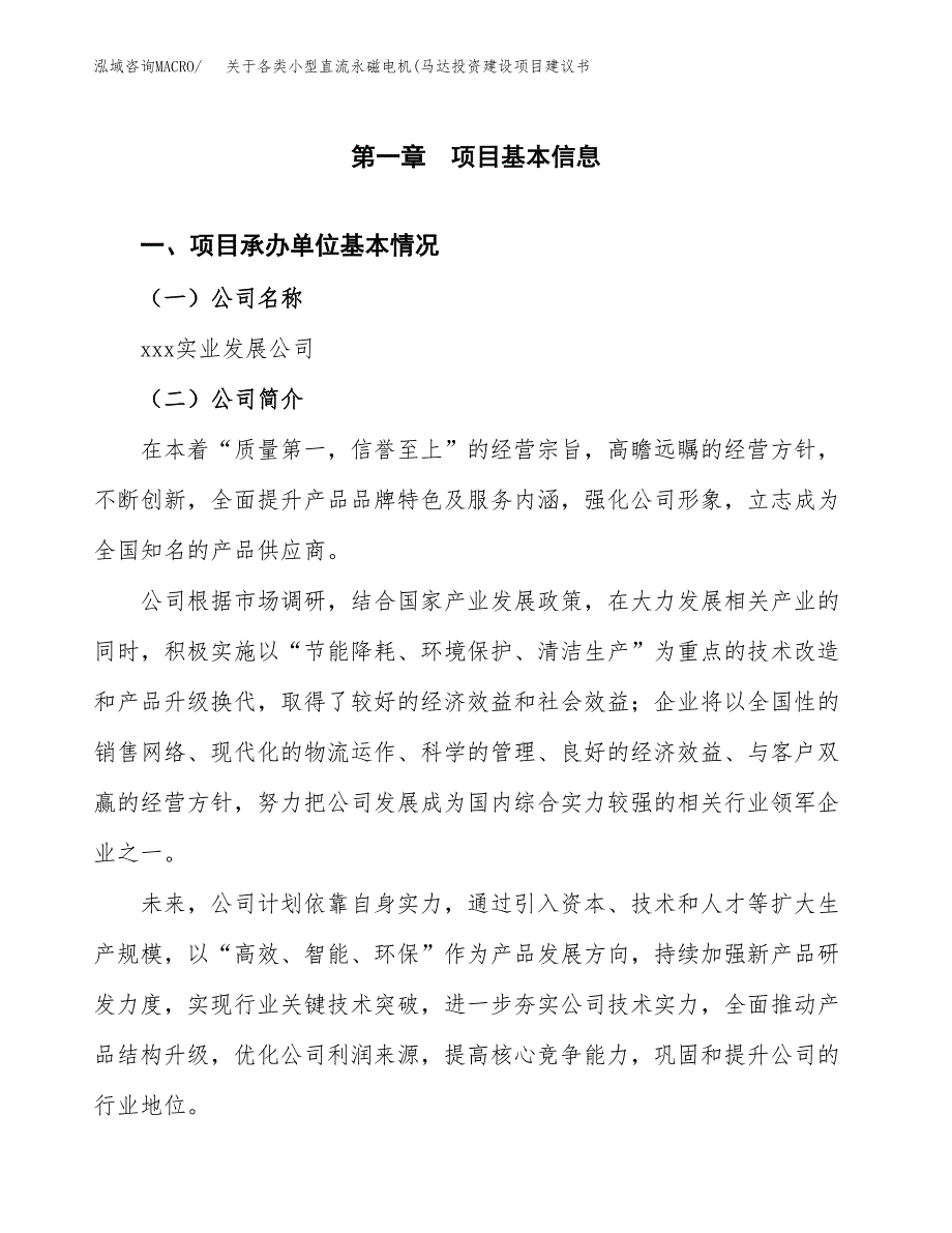 关于各类小型直流永磁电机(马达投资建设项目建议书范文（总投资19000万元）.docx_第3页