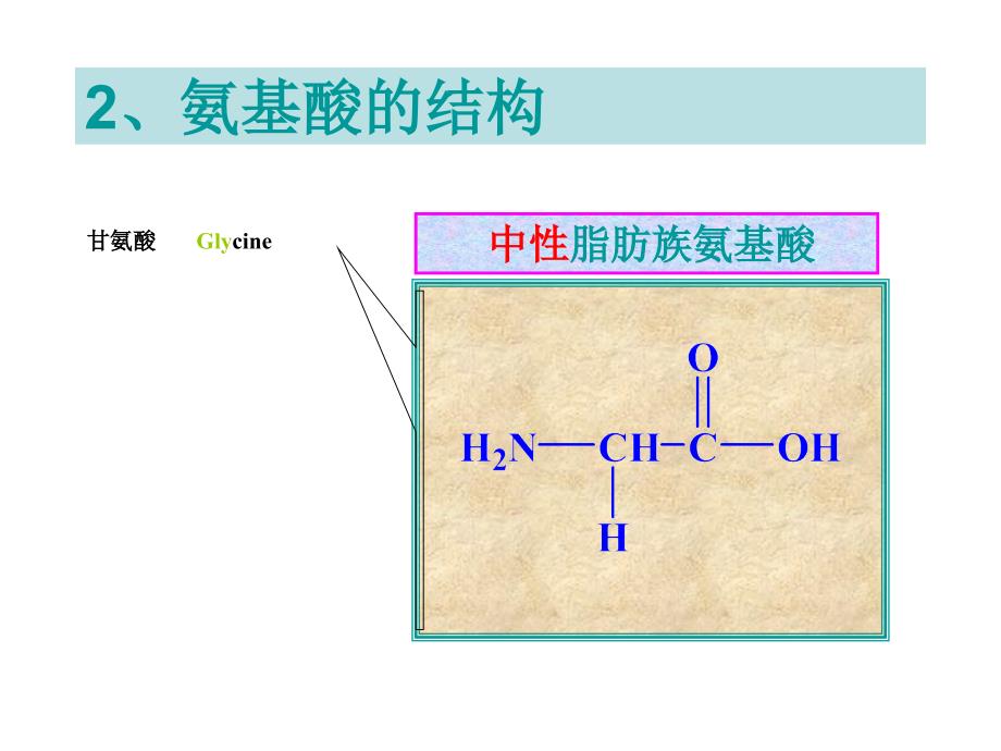 生物化学课件王镜岩版第氨基酸_第2页