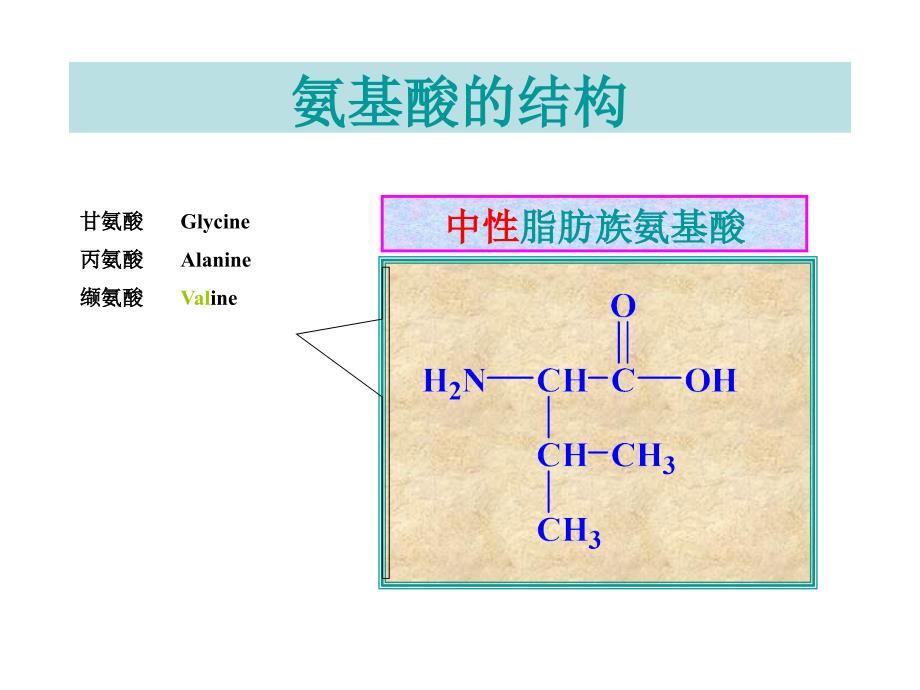 生物化学课件王镜岩版第氨基酸_第4页