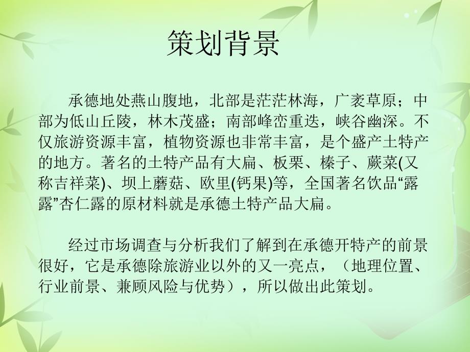 塞外风情特产店经营计划书_第2页