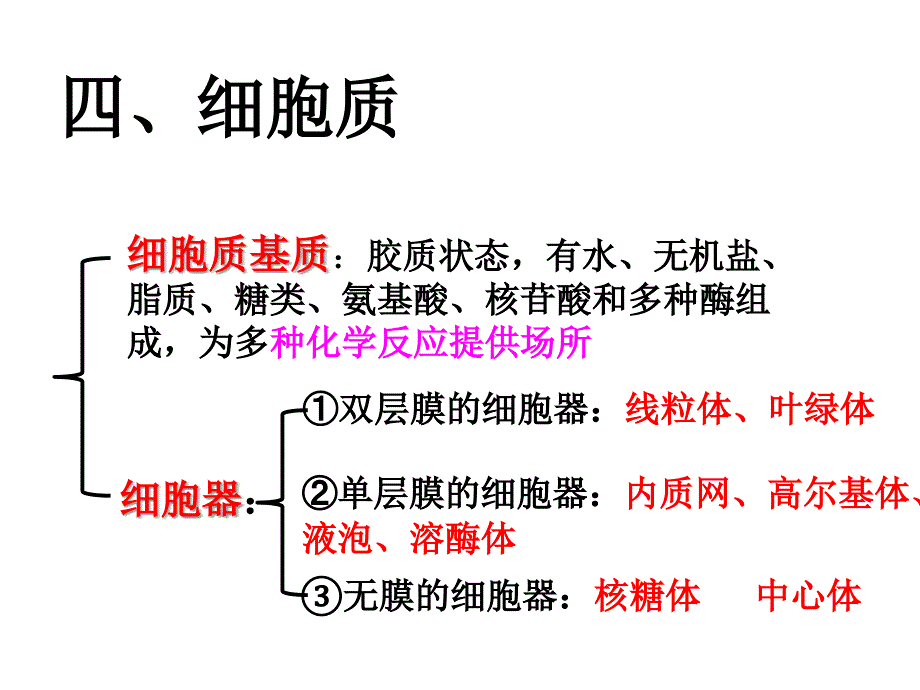 高三一轮复习第六讲细胞器与生物膜系统_第2页