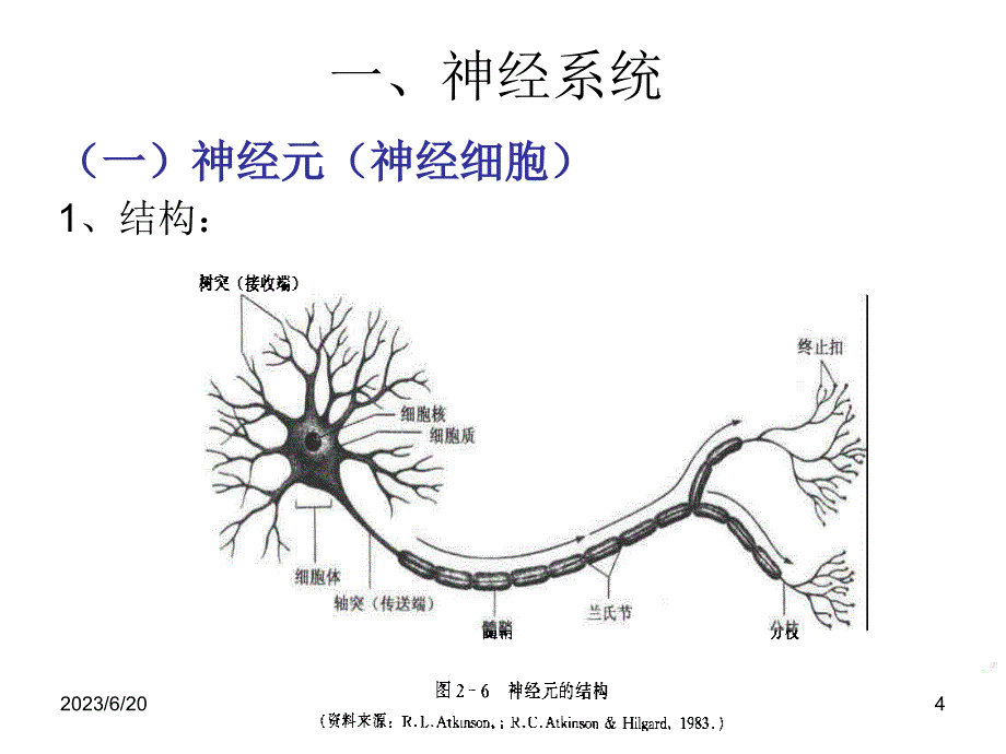 心理的实质1_第4页