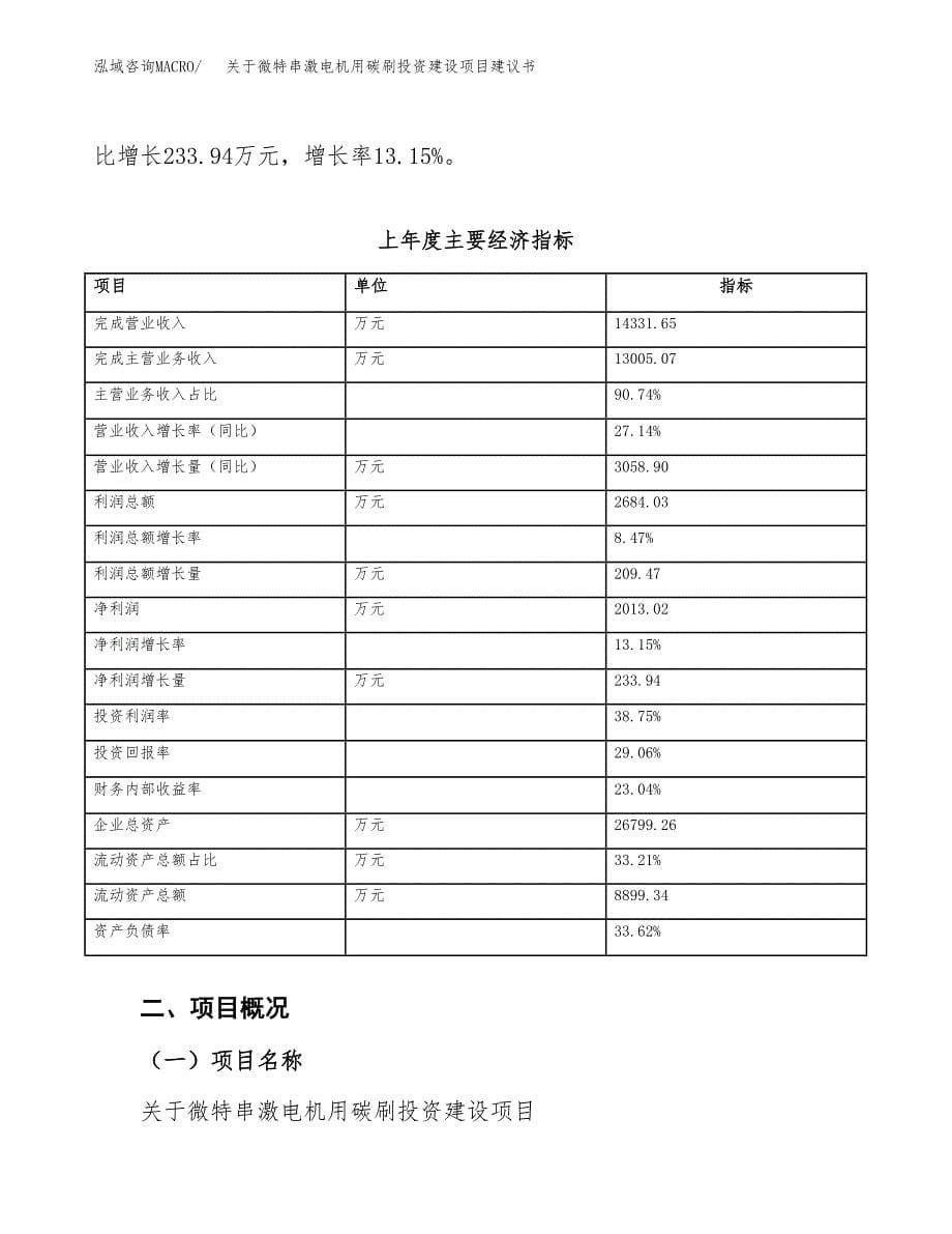 关于微特串激电机用碳刷投资建设项目建议书范文（总投资11000万元）.docx_第5页