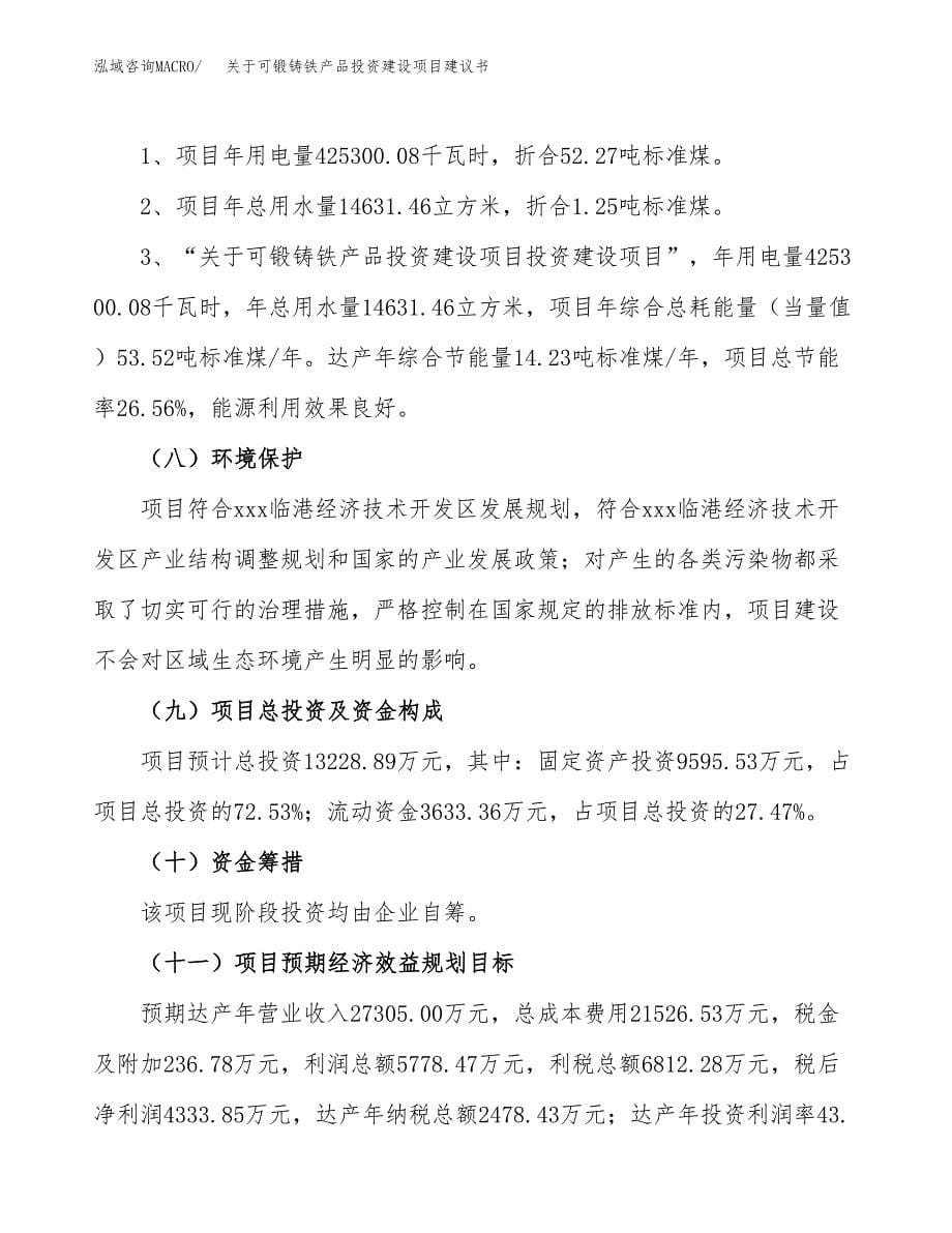 关于可锻铸铁产品投资建设项目建议书范文（总投资13000万元）.docx_第5页