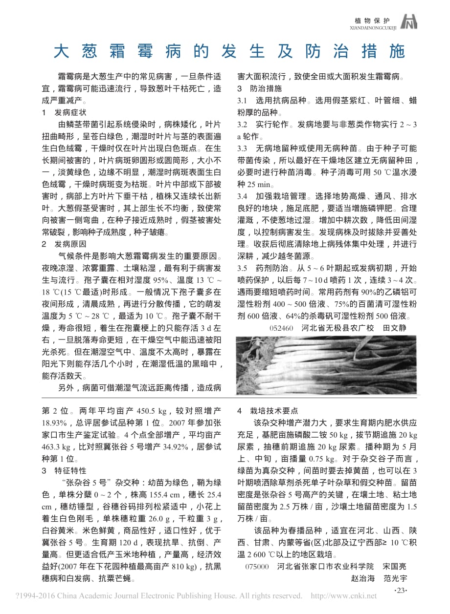 谷子杂交种张杂谷5号的选育及栽培技术_宋国亮_第2页