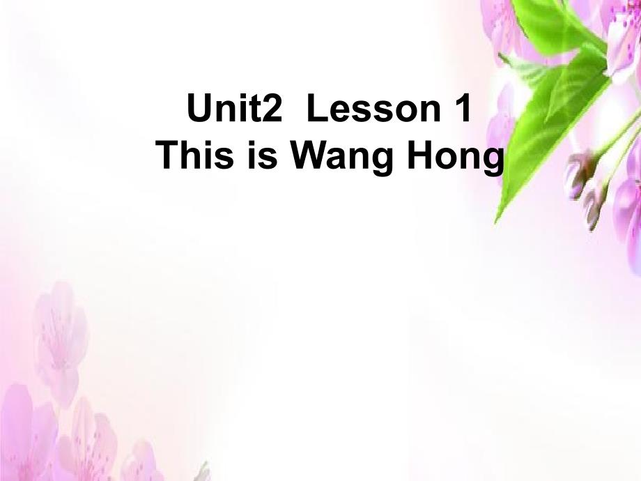 三年级上册英语课件－Unit 2 Lesson 1《This is WangHong》｜鲁科版（五四制）（三起） (共7张PPT)_第1页