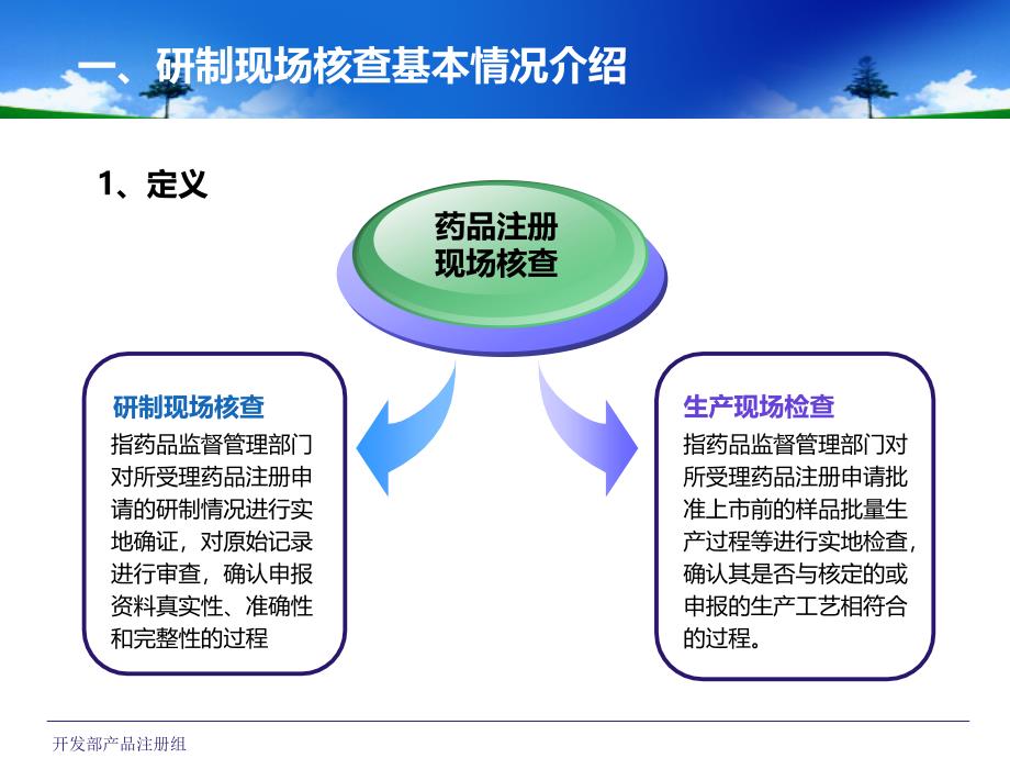 药品注册研制现场核查基本要求及问题分析_第4页