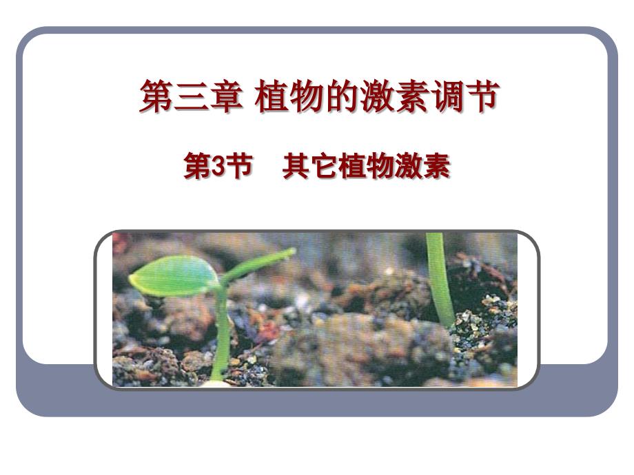 其他植物激素公开课资料_第1页