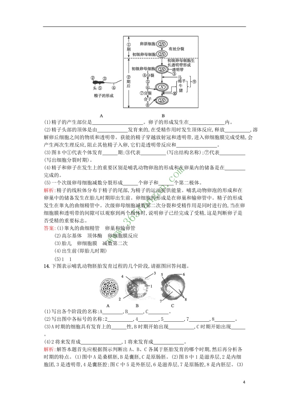 2017年高中生物 专题3 胚胎工程 3.1 体内受精和早期胚胎发育课后习题 新人教版选修3_第4页