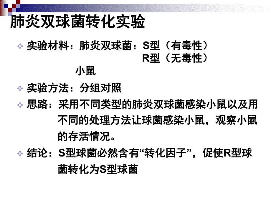 遗传信息的携带者核酸PPT课件_第5页