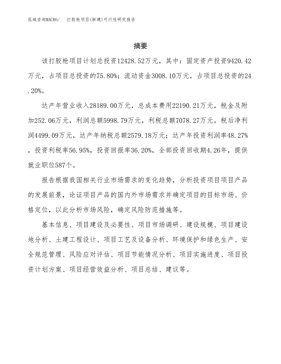 打胶枪项目(新建)可行性研究报告.docx_第2页