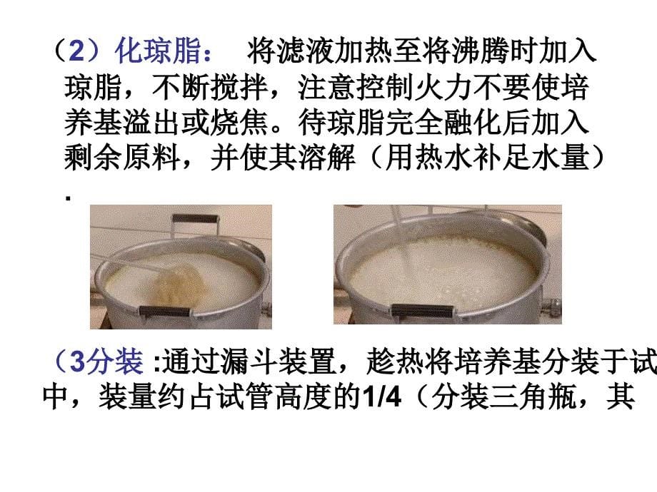 典型多媒体课件食用菌生物学_第5页