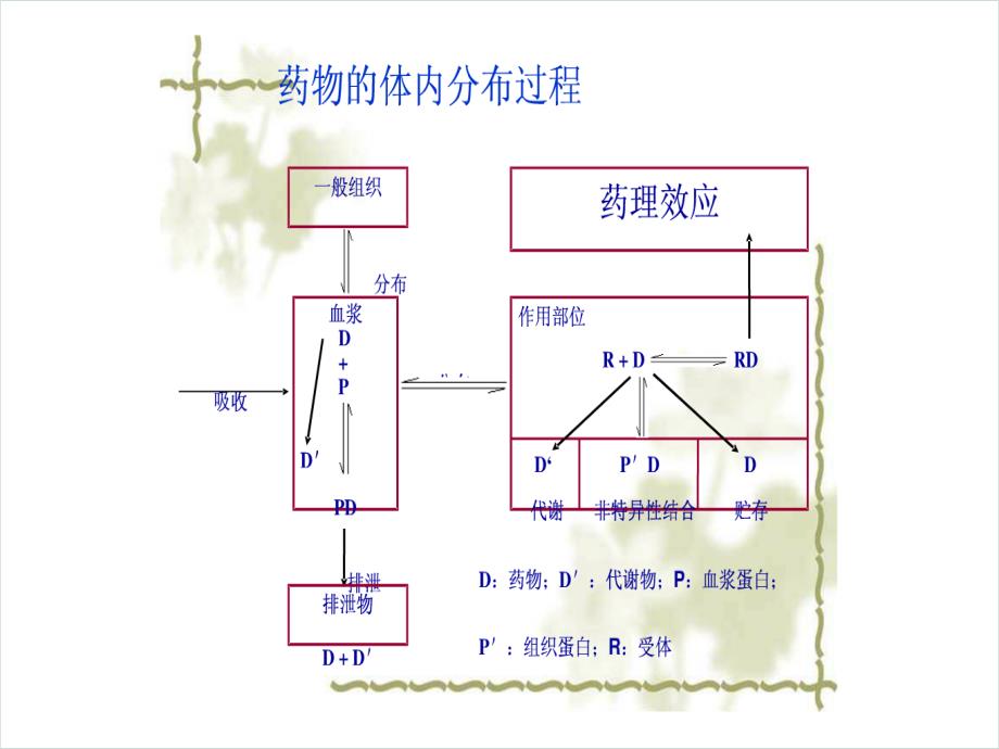 生物药剂学与药物动力学-药物的分布_第4页