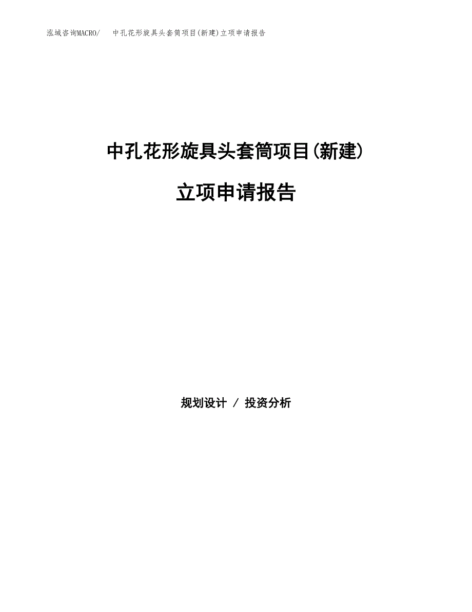 中孔花形旋具头套筒项目(新建)立项申请报告.docx_第1页