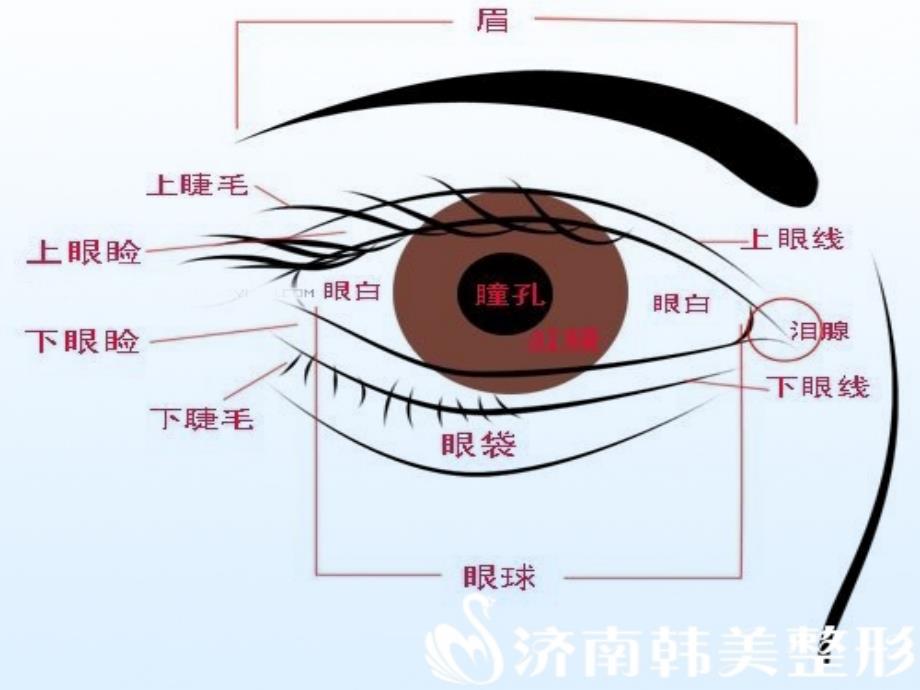 幼儿园大班课件-保护眼睛PPT课件_第3页