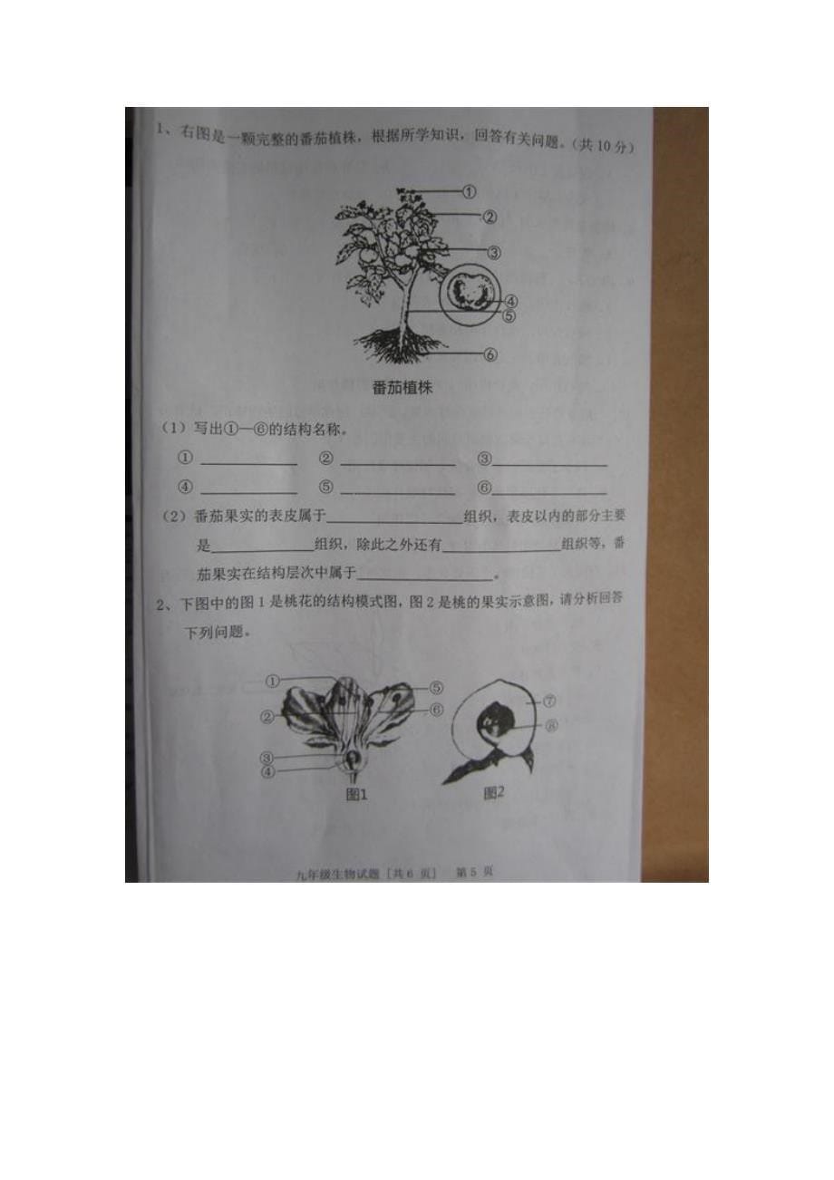 陕西省兴平市2016学年九年级上学期期末考试生物试题（图片版）（附答案）.doc_第5页