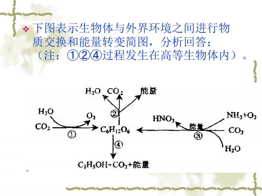 光合作用与呼吸作用复习题PPT课件_第2页